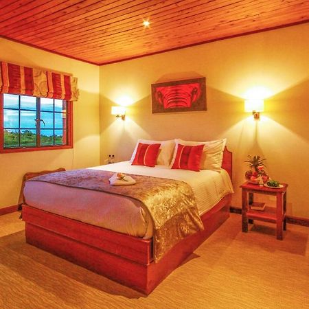 ניירי The Ark Lodge מראה חיצוני תמונה