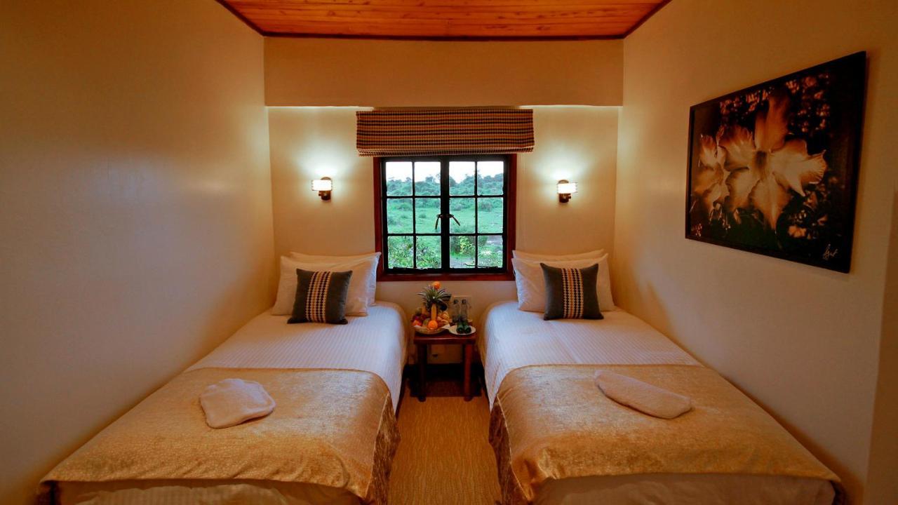ניירי The Ark Lodge מראה חיצוני תמונה