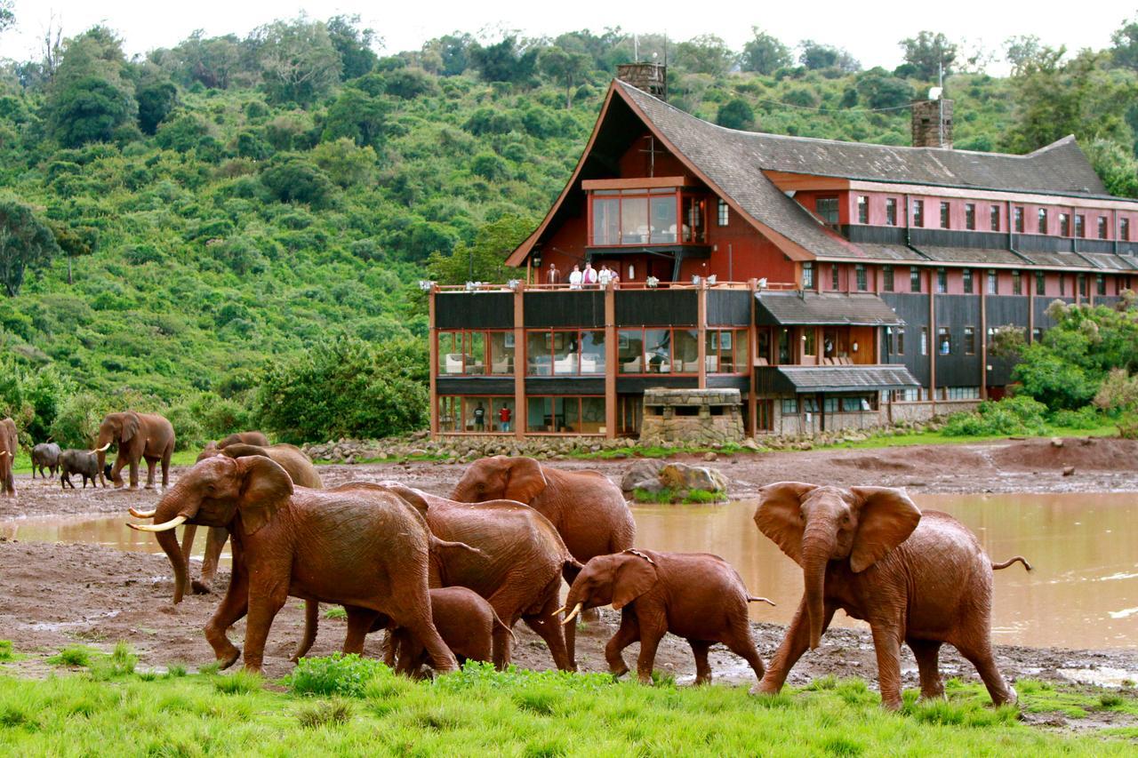 ניירי The Ark Lodge מראה חיצוני תמונה