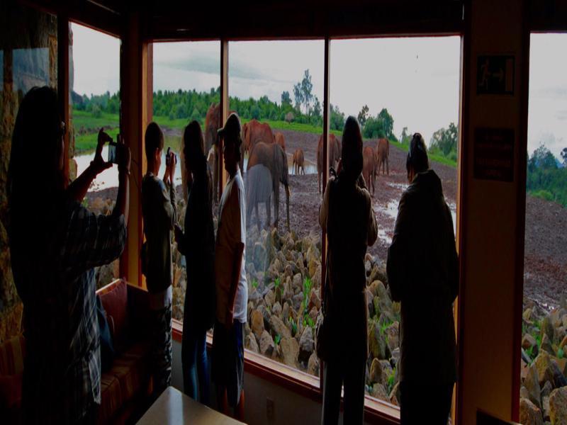 ניירי The Ark Lodge מראה חיצוני תמונה